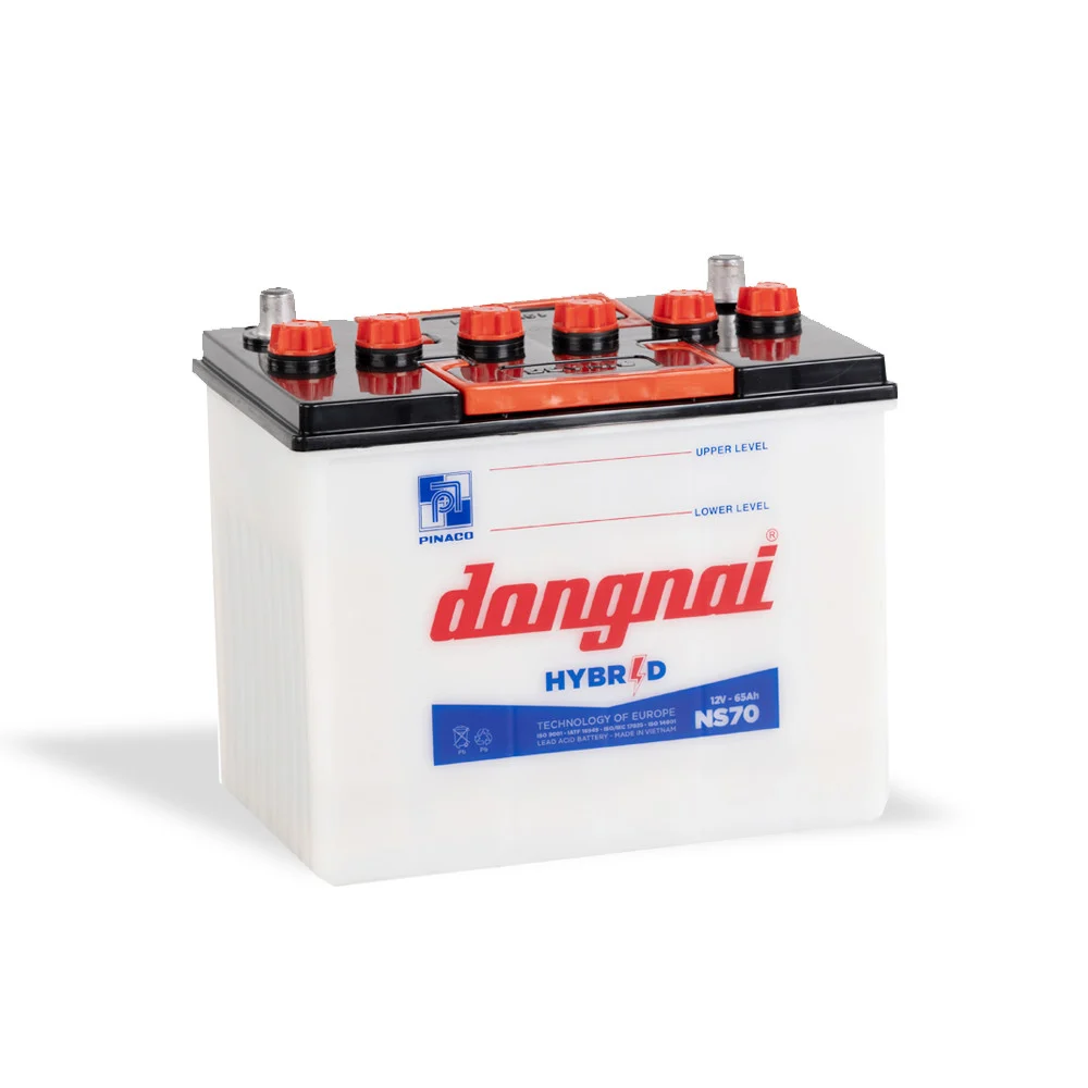Ắc quy Đồng Nai NS70 (12V - 65Ah) 4 Ắc quy Đồng Nai NS70 (12V - 65Ah) - Ảnh 2